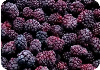 Frozen Blackberry