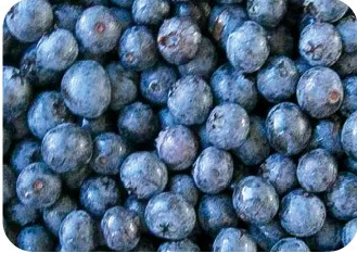 Frozen Blueberry