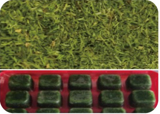 Frozen Chopped/Cubes Dill