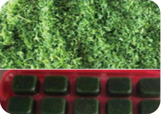 Frozen Chopped/Cubes Parsley