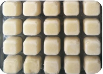 Frozen Garlic Cubes/Paste