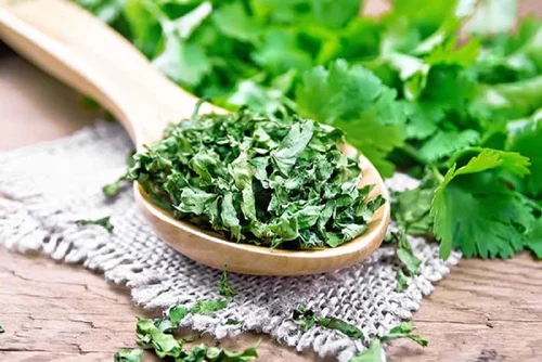 Freeze Dried Coriander Leaves